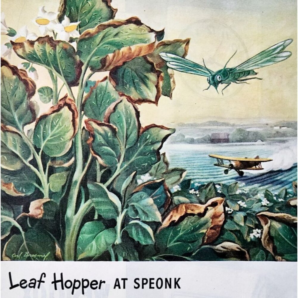 1947 Shell Oil Advertisement Leaf Hopper Bug Killer D D T Speonk NYC DWJJ22 - Picture 1 of 2